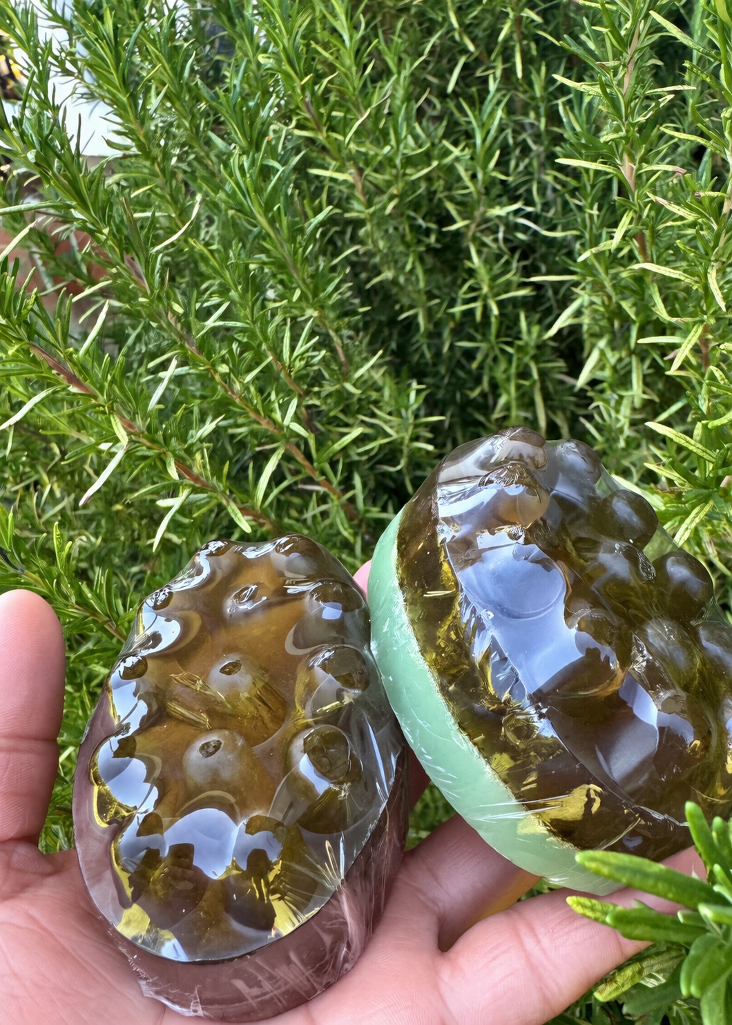 ROSMERY ALOVERA & TEA TREE SHAMPOO BAR