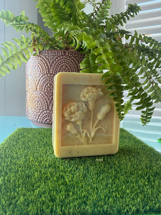 TURMERIC & HONEY  SOAP